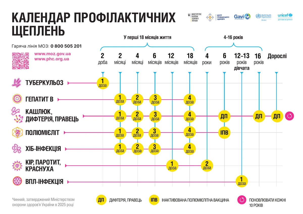 Офіційна інфографіка МОЗ України: календар профілактичних щеплень – туберкульоз, гепатит B, кашлюк, дифтерія, правець, поліомієліт, Hib-інфекція, КПК і ВПЛ за віком від першої доби до дорослих